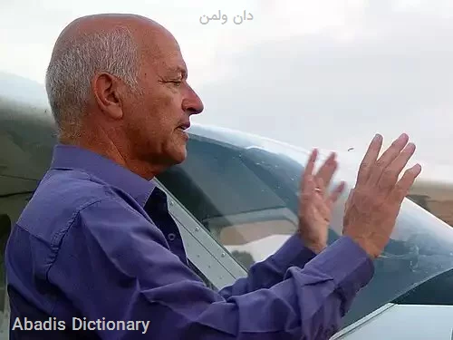 دان ولمن